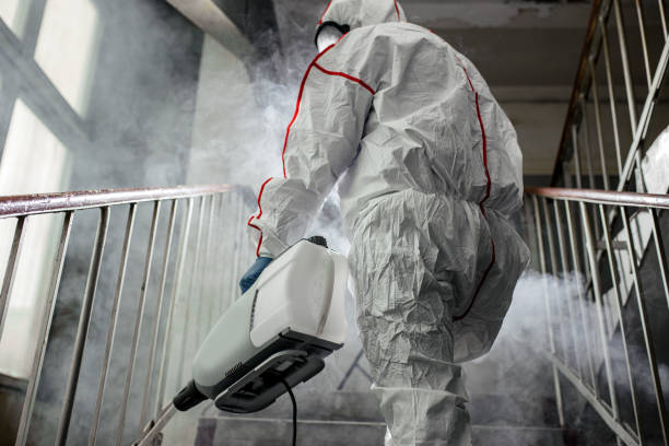 Best Commercial Mold Inspection  in Ceredo, WV